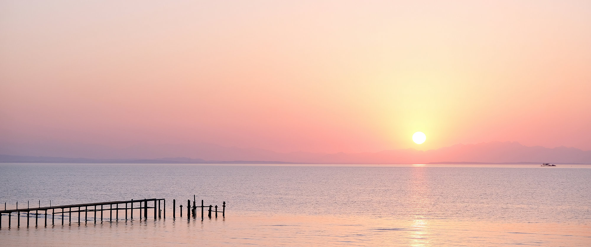 Random Moments - Fujifilm X-T2, photo 17